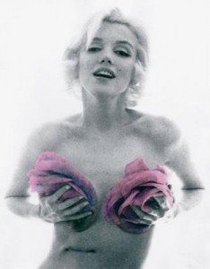 Quel est le rapport entre Netvibes et le Projet Marilyn ?