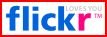 Flickr Video Browser - toutes les vidéos Flickr en mur d'images
