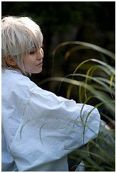 Flickr - 4 000 000 000 de photos Flickr - 4 000 000 000 de photos