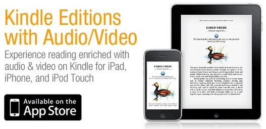 Amazon Kindle Editions - Du multimédia dans nos e-book
