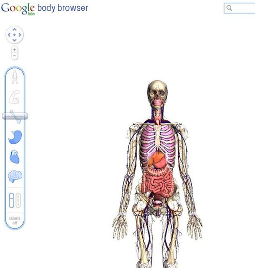 Google Body Browser - Visite du corps humain en 3D