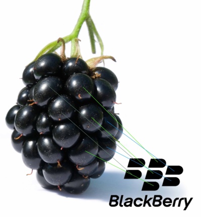 Blackberry racheté par une holding canadienne