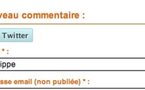 Nouveau sur le blog : identification via Twitter