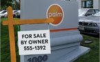 Palm est à vendre
