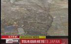Séisme et Tsunami au Japon - Google active Japan Person Finder