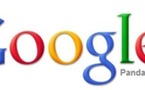 Google Panda en France en Aout et une mise à jour du PageRank imminente
