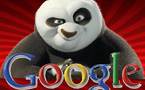 Google Panda est en France
