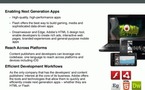 Adobe arrive avec de la 3D, Flash player 11 et Air 3