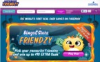 Bingo Friendzy - Le premier jeu d'argent sur Facebook