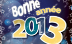 Bonne et heureuse année 2013